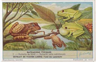 Liebig 1661 Typical Amphibians – frogs, toads, tree frogs, salamanders and axolotls