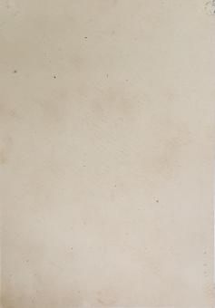 Commemorative card 'Month of Mary' with Mary surrounded by a floral garland and crown of stars, lithography by Daveluy - avai