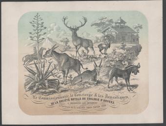 Nieuwjaarskaart1861 Société Royale de Zoologie d\'Anvers 