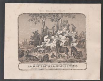 Nieuwjaarskaart 1866 Société Royale de Zoologie d\'Anvers