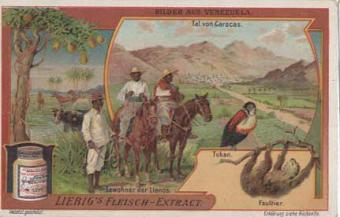 Liebig-Sammelbilder Sanguinetti 916 (1907) – Bilder aus Venezuela
