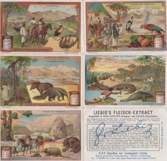 Liebig Sanguinetti 916 (1907) – Beelden uit Venezuela