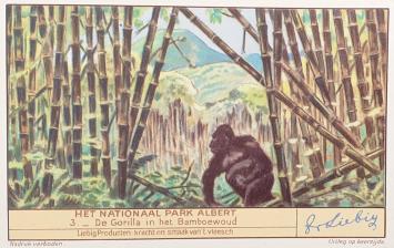 Liebig detail Gorilla in het bamboewoud