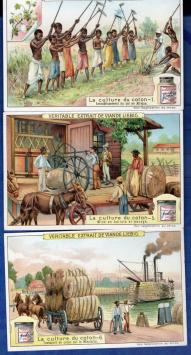 Carte chromo Liebig – La culture du coton – 1909 – édition belge
