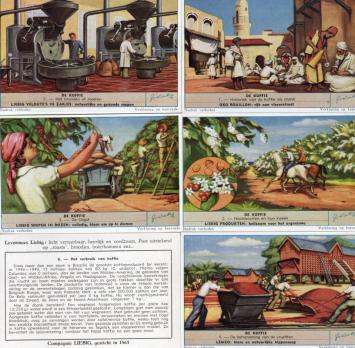 Liebig cards Sanguinetti 1727 Coffee issued in 1960 featuring coffee cultivation, harvesting, processing and roasting.