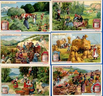 Liebig chromo series – Sanguinetti no. 944 – Harvests – 1908 – with jar – good condition