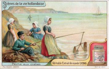 Liebig chromoreeks – Sanguinetti nr 1079 – Scènes uit het Nederlandse leven – 1913 – met potje – goede staat