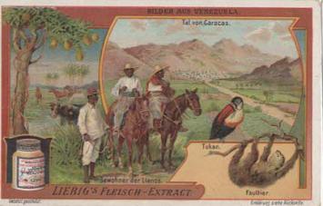 Liebig-Sammelbilder Sanguinetti 916 (1907) – Bilder aus Venezuela