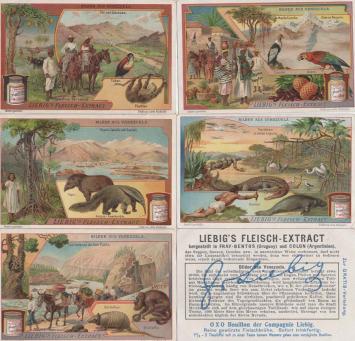 Liebig Sanguinetti 916 (1907) – Beelden uit Venezuela